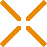 x icon